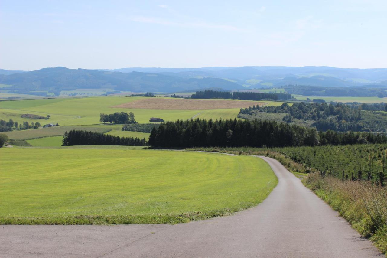 Haus Bergeshoeh Hochsauerland Eslohe Extérieur photo